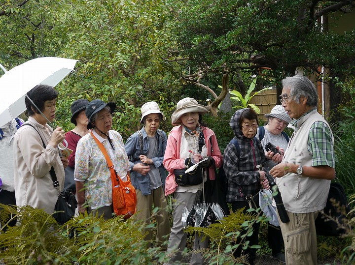 薬草鑑賞会2018　皇居東御苑