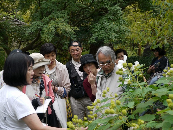 薬草鑑賞会2018　皇居東御苑