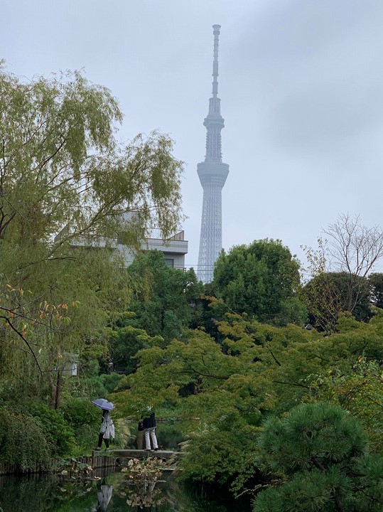 薬草鑑賞会2018　皇居東御苑